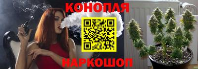 стаф Кунгур