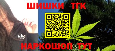 стаф Кунгур