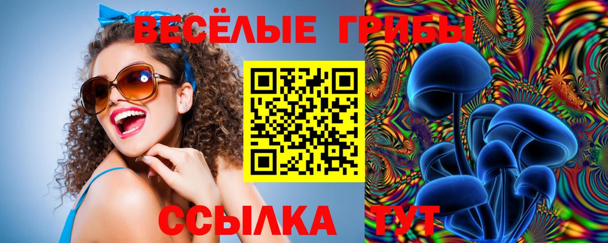 Псилоцибиновые грибы прущие грибы Заволжье