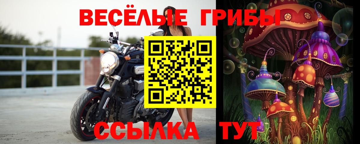 Заволжье  Галлюциногенные грибы Psilocybine cubensis  Вход с VPN  Псилоцибиновые грибы GOLDEN TEACHER 