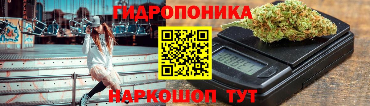 Конопля планчик  Каннабис White Widow  Заволжье  Вход с VPN  Шишки марихуана индика 